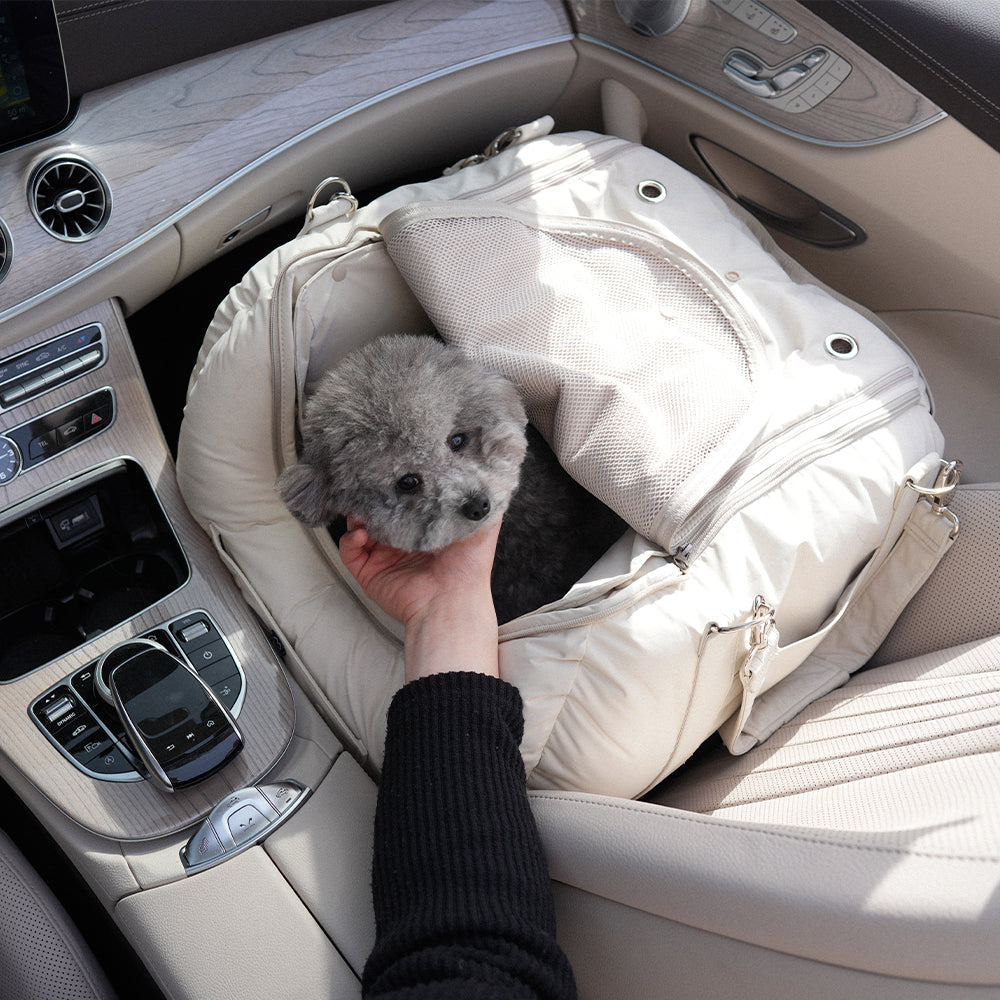 私の犬にはどんなカシートが必要ですか?