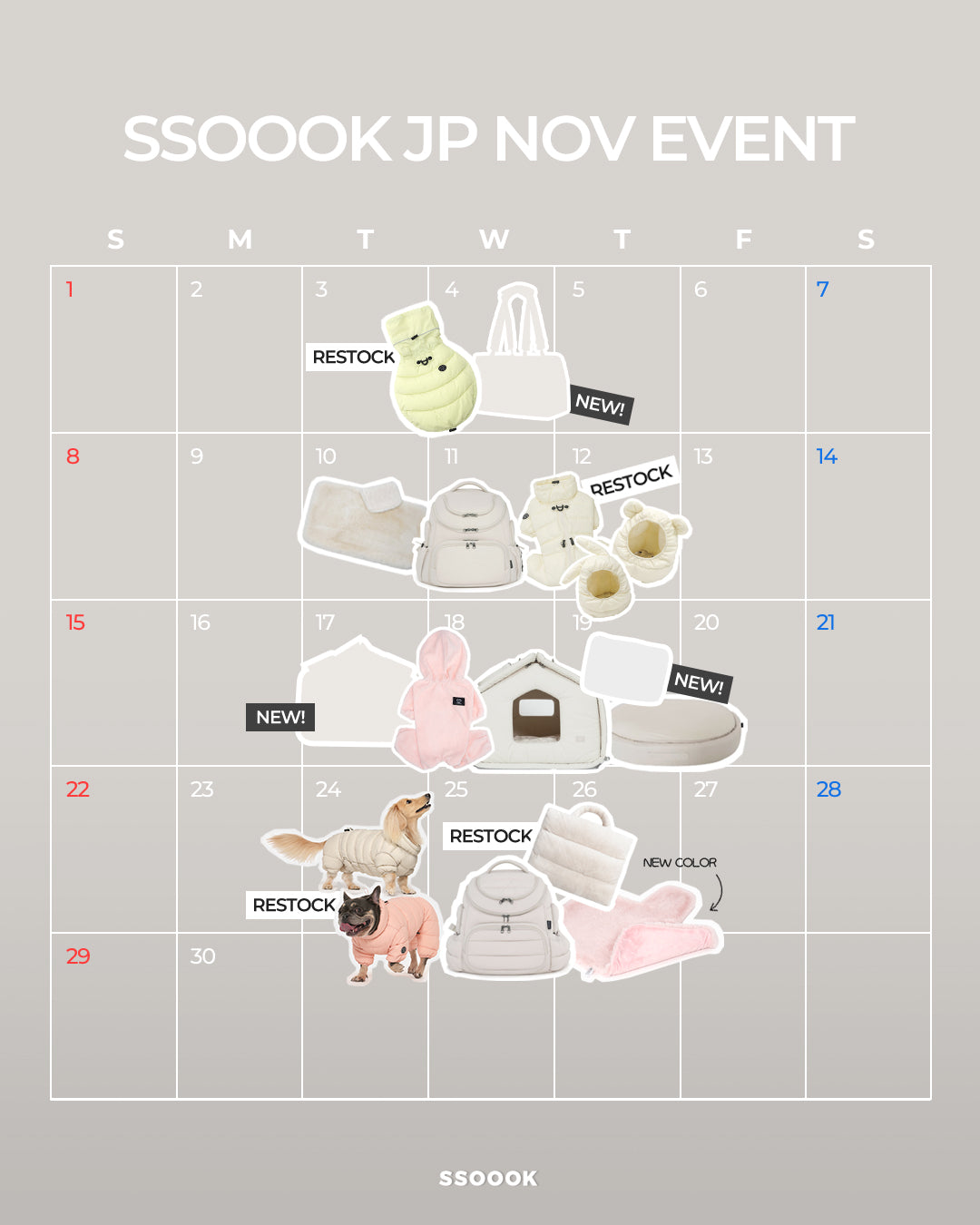 SSOOOK 2026年11月 イベントスケジュール