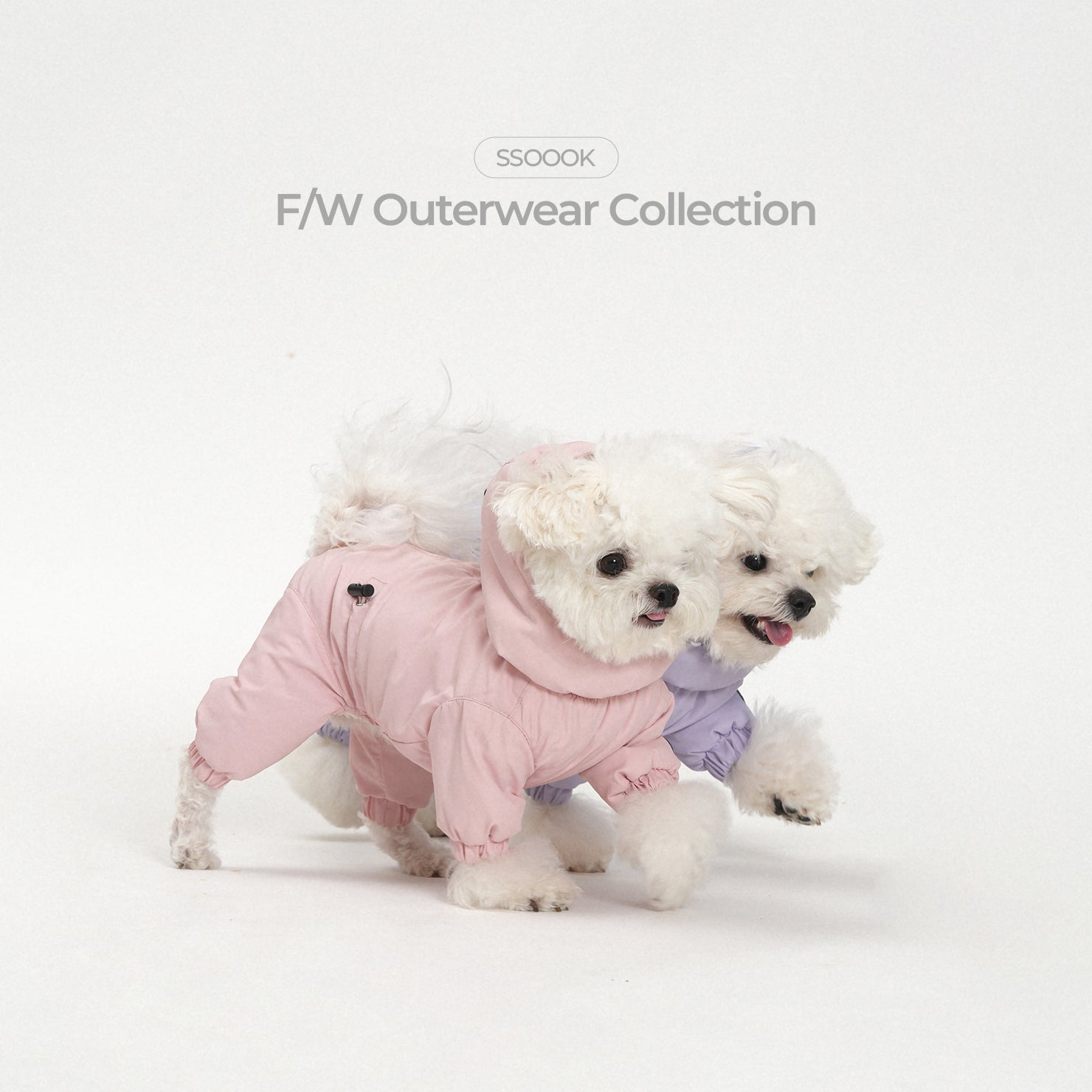 冬の散歩が怖くない理由、 SSOOOK F/W アウターコレクション