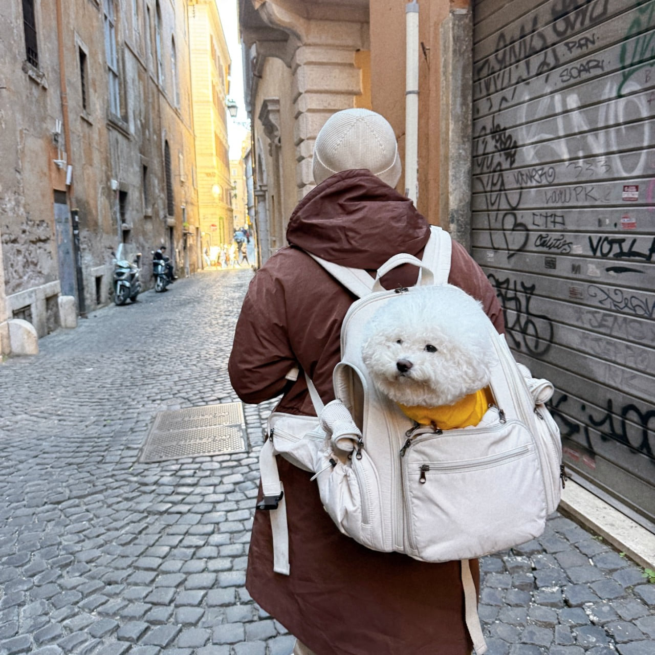 SSOOOKバックパックでいつもペットと一緒に旅行しましょう。