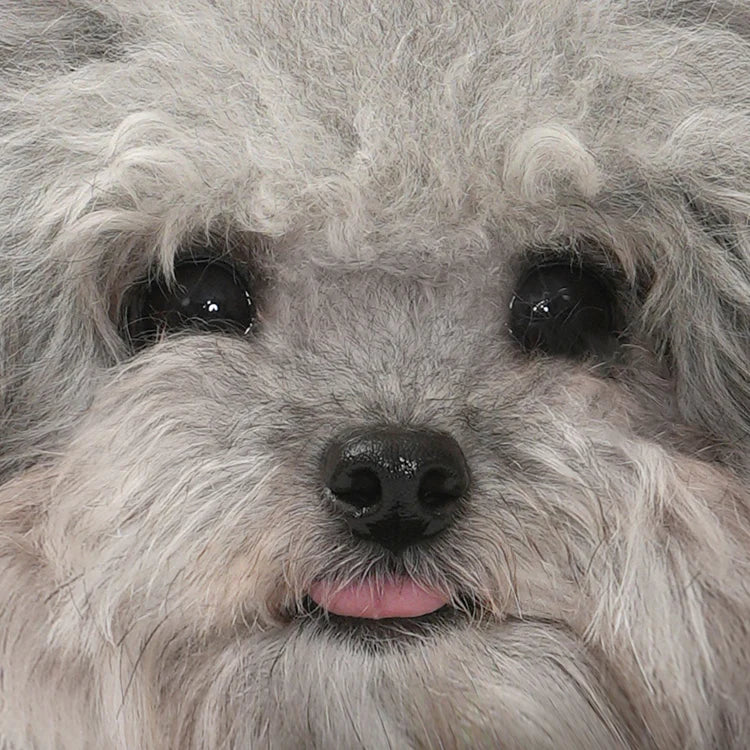 AEGI - SM