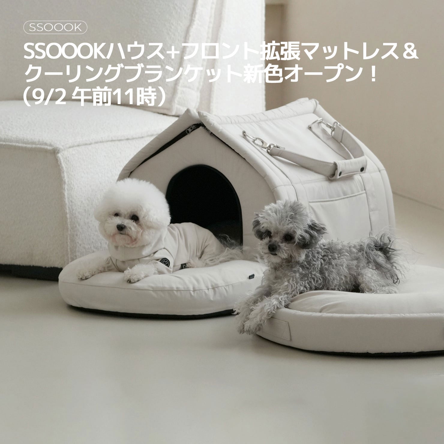 【お知らせ】SSOOOKハウスV.3、フロント拡張マットレス新作発売＆クーリングブランケット新色オープン！（9/2 午前11時）