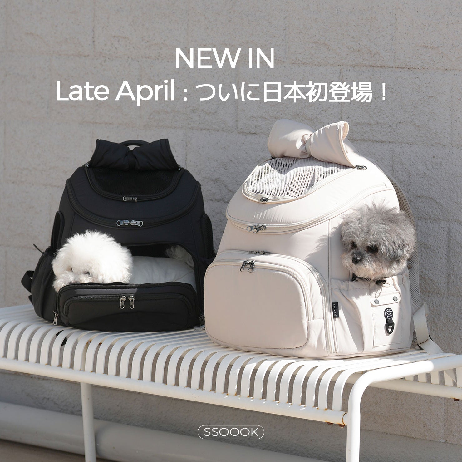 [NEW IN] Late April / ついに日本初登場！