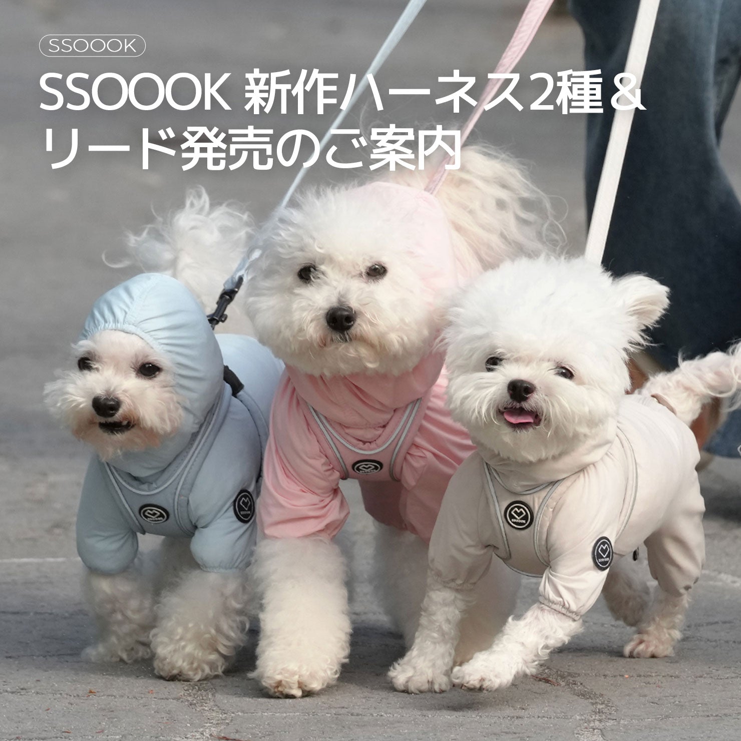 【お知らせ】SSOOOK 新作ハーネス2種＆リード発売のご案内（9/9 午前11時オープン）