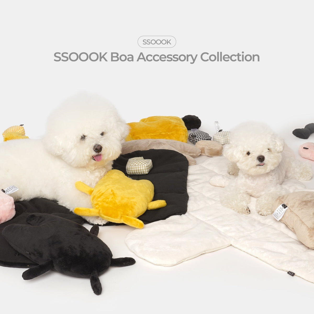 うちのワンちゃんの冬支度、SSOOOKボアコレクション