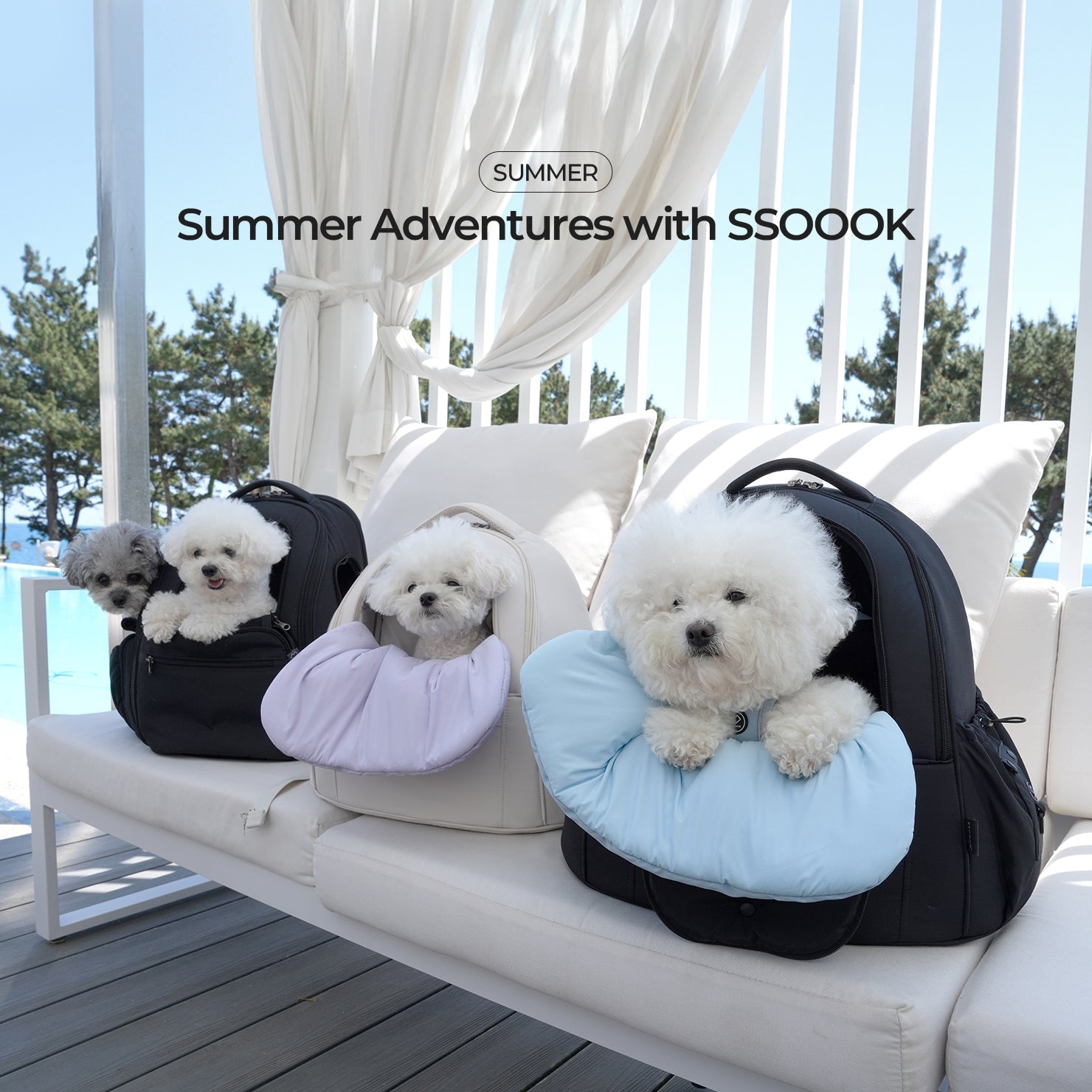 SSOOOKと共にする涼しい夏のお出かけ