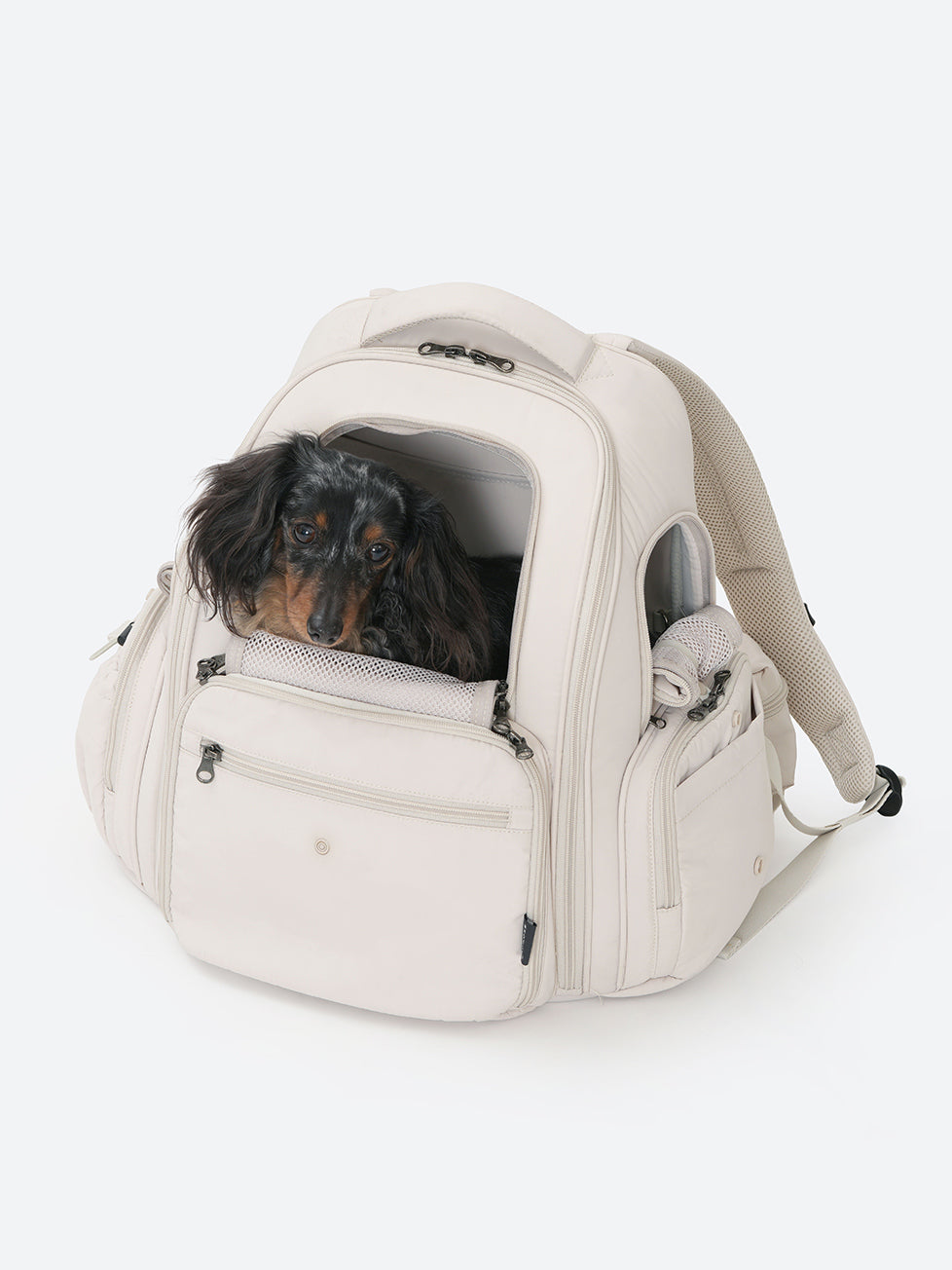 BACK PACK – SSOOOK Japan