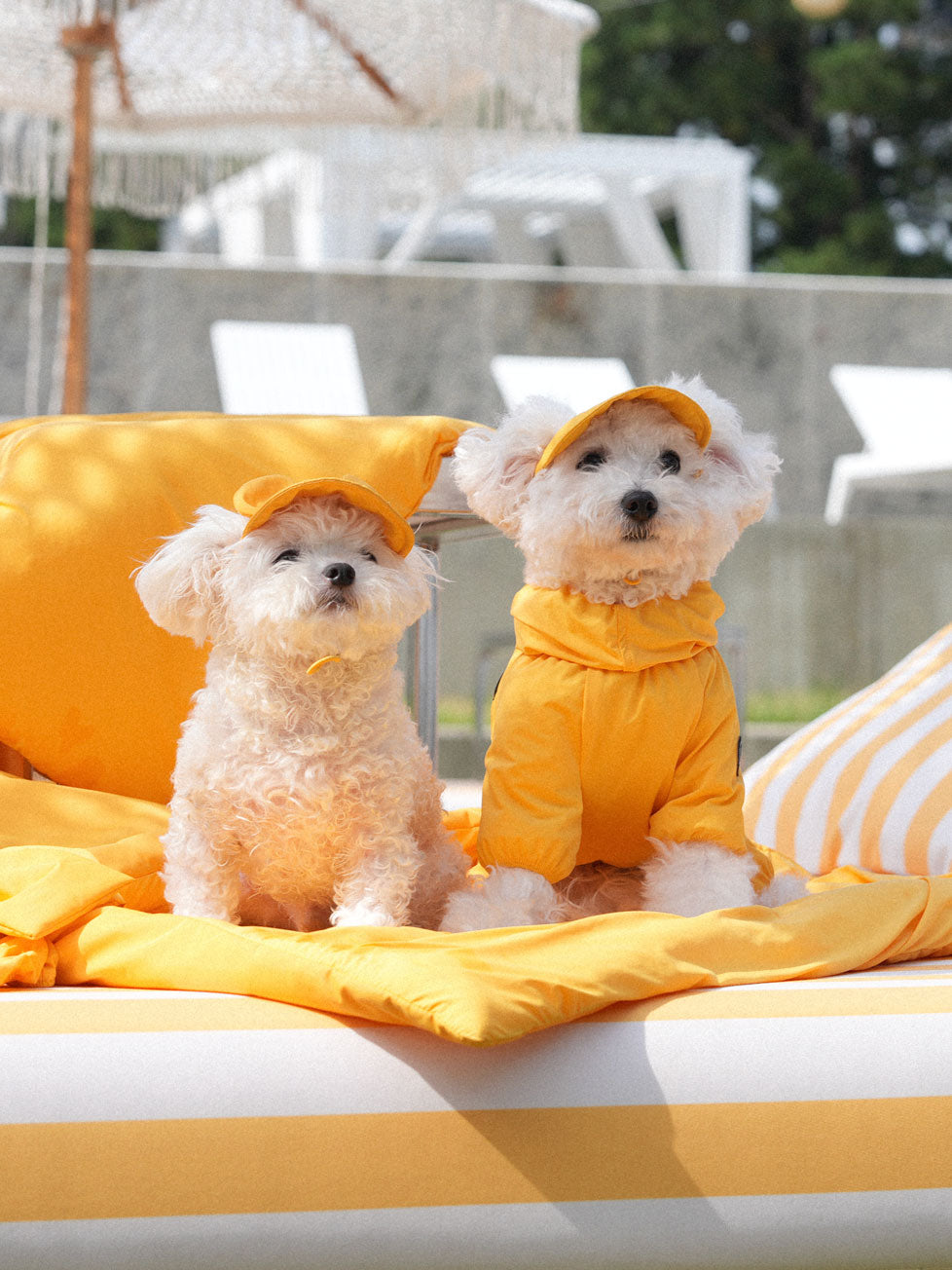 SSOOOK Wear – SSOOOK Japan