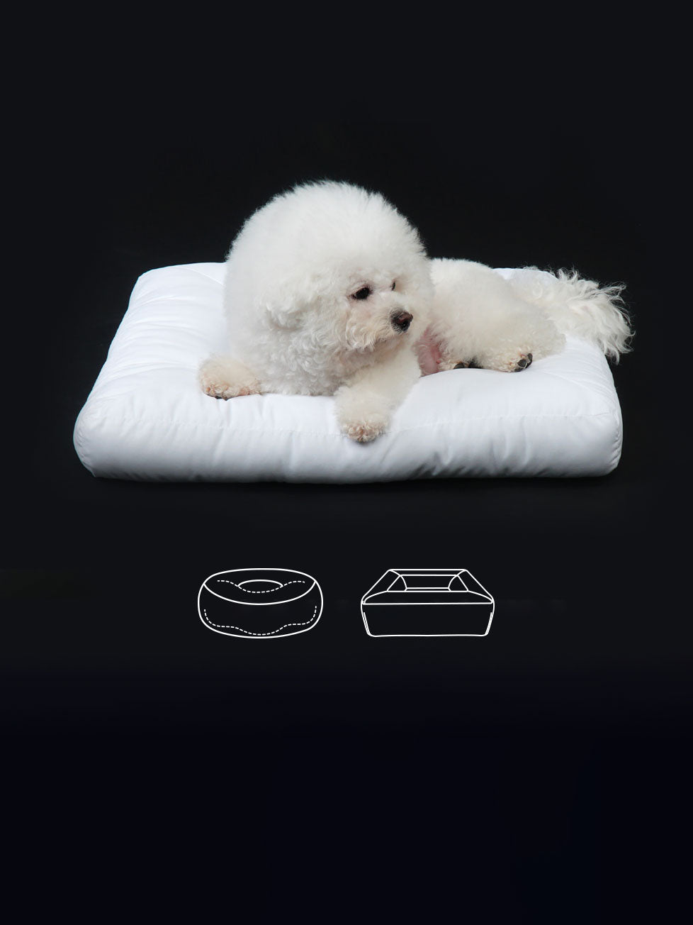 CARSEATS – SSOOOK Japan