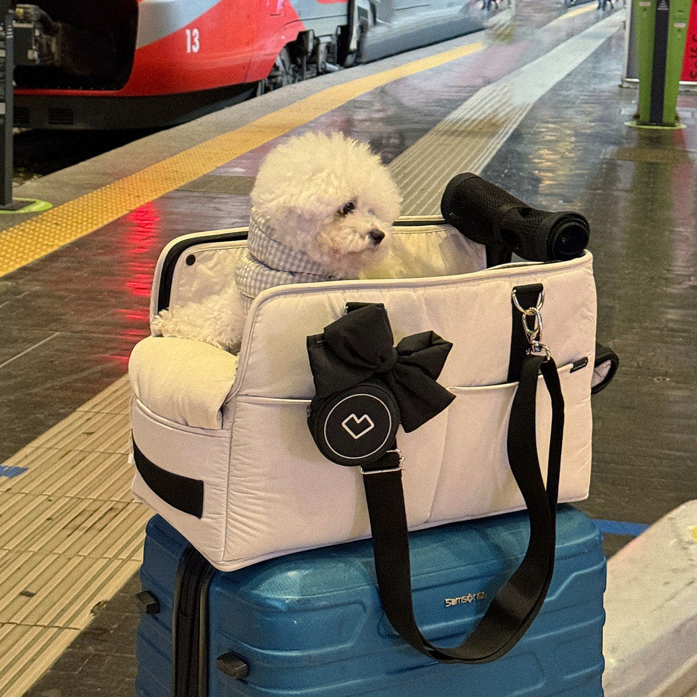 [SO-CA001] SSOOOK Bag