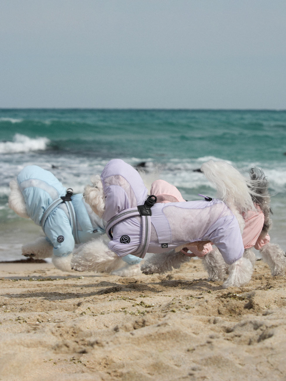 SSOOOK Wear – SSOOOK Japan