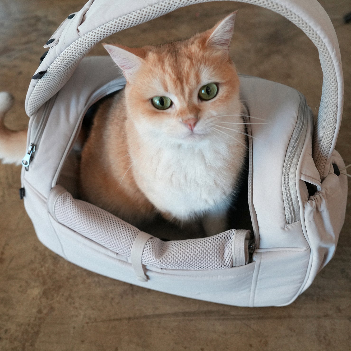 SSOOOK スリングバッグ（V.スマート、バッグが右側）[SO-CA103]