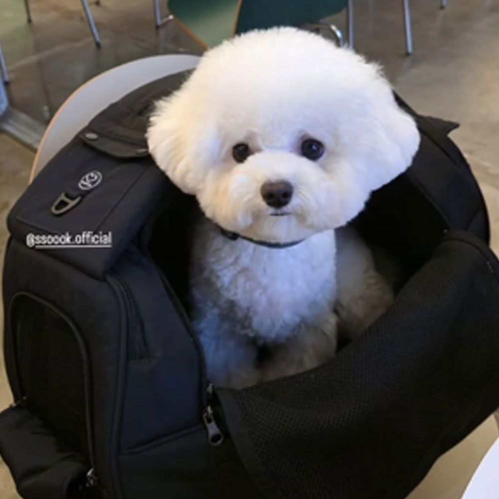 SSOOOK SLINGBAG(V.スマート、バッグが左) [SO-CA104]