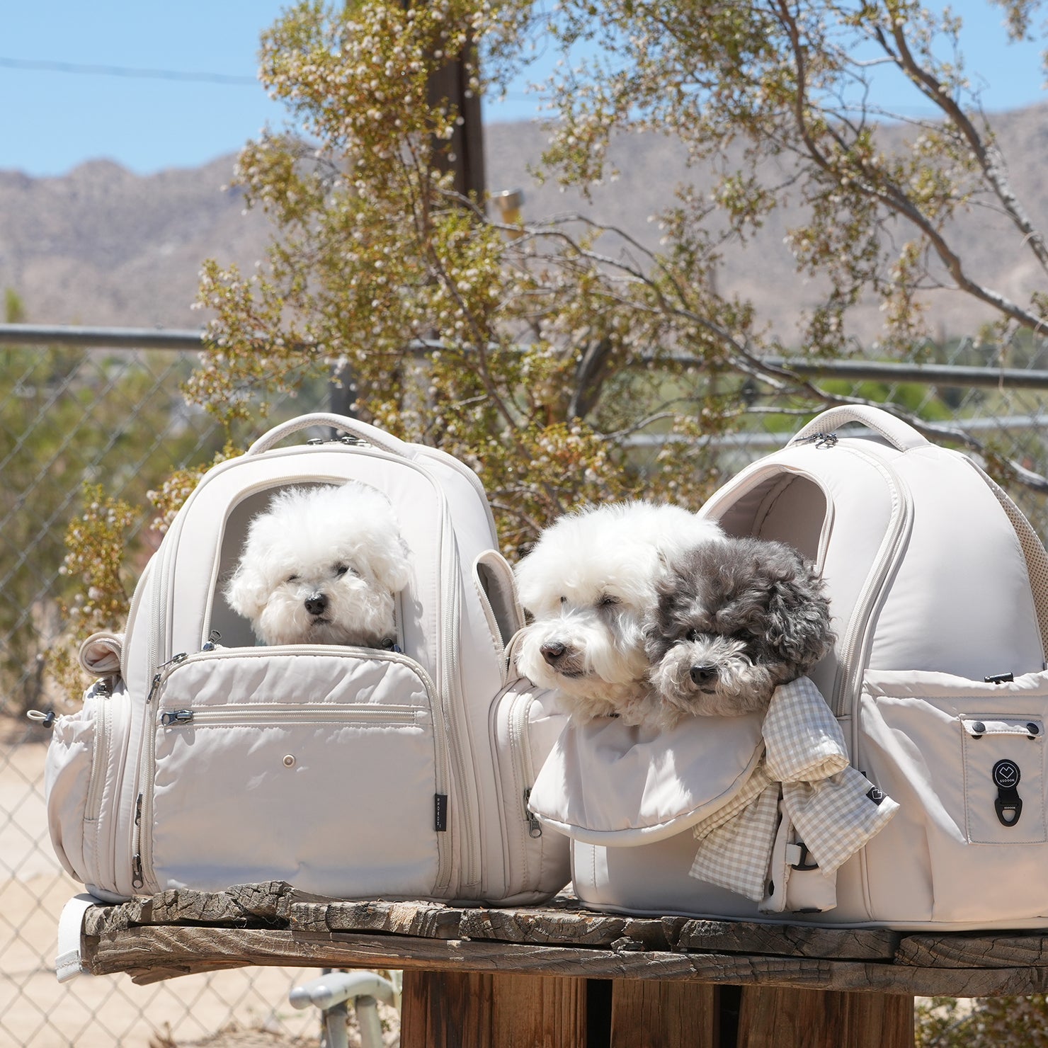 SO-CA411] SSOOOK フロントバッグ – SSOOOK Japan