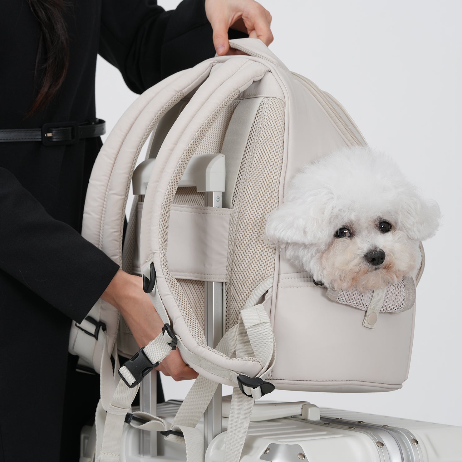 SO-CA411] SSOOOK フロントバッグ – SSOOOK Japan