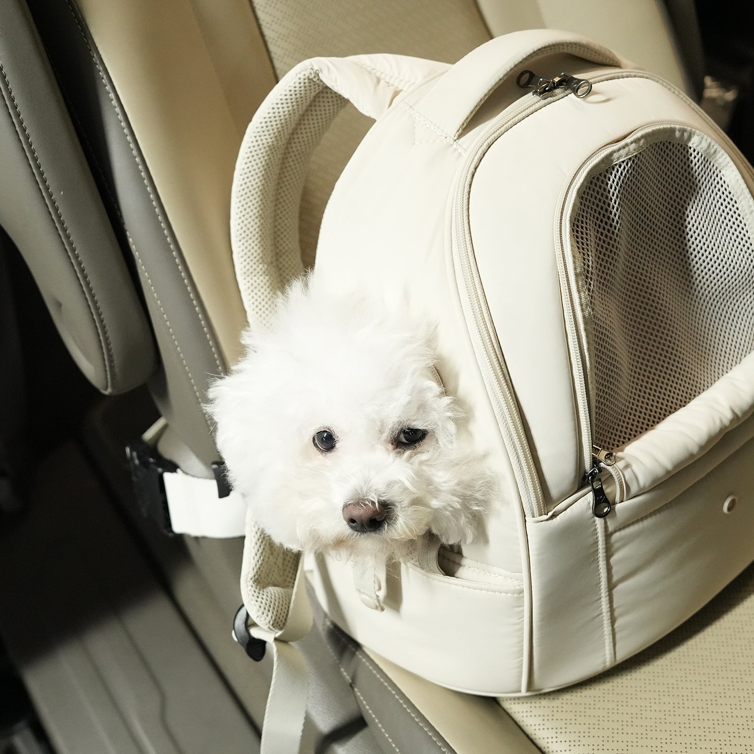 SSOOOKソオオク フロントバッグ [SO-CA411] SO-CA411] SSOOOK フロントバッグ – SSOOOK Japan