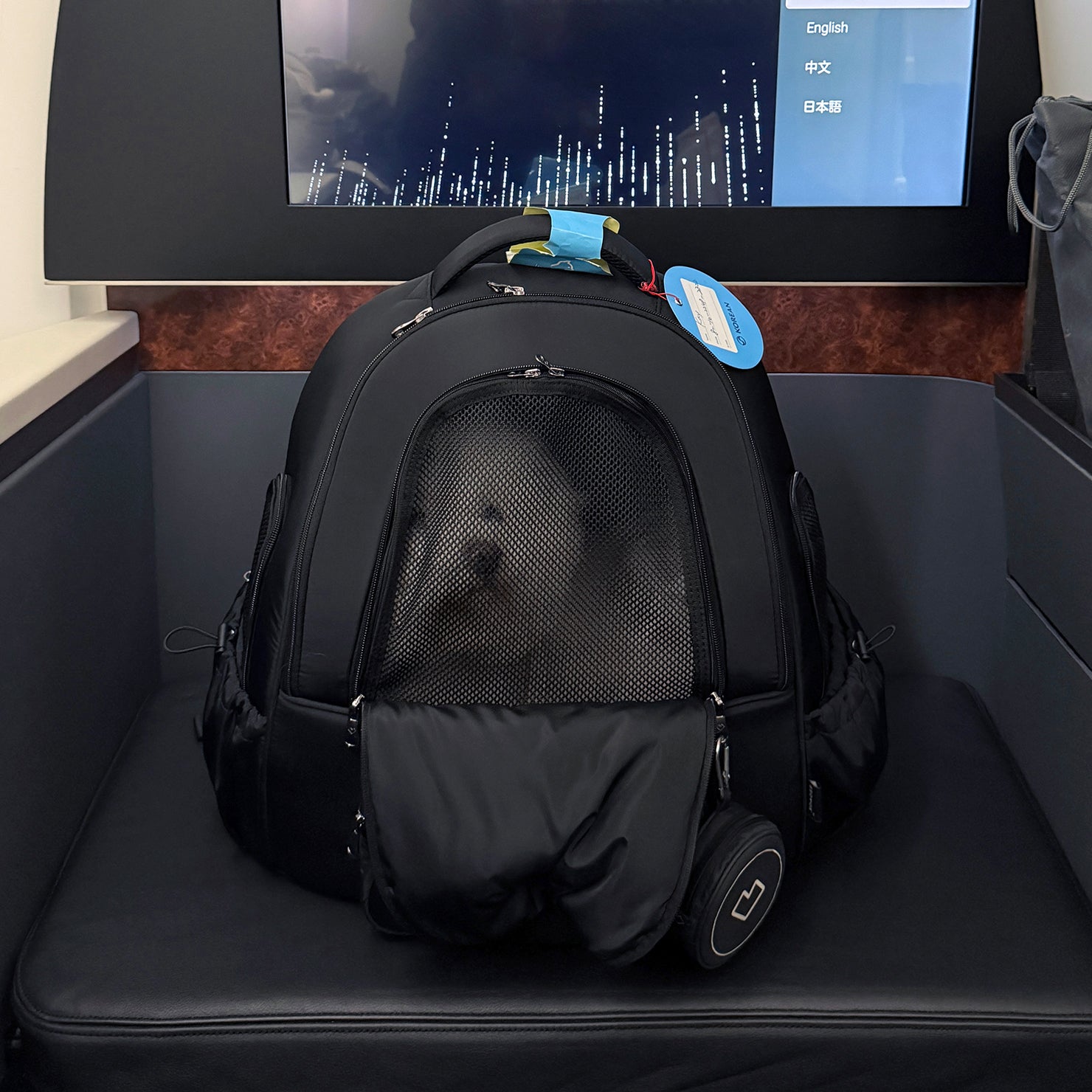 [SO-CA413] SSOOOK DOUBLE WINDOW FRONT BAG