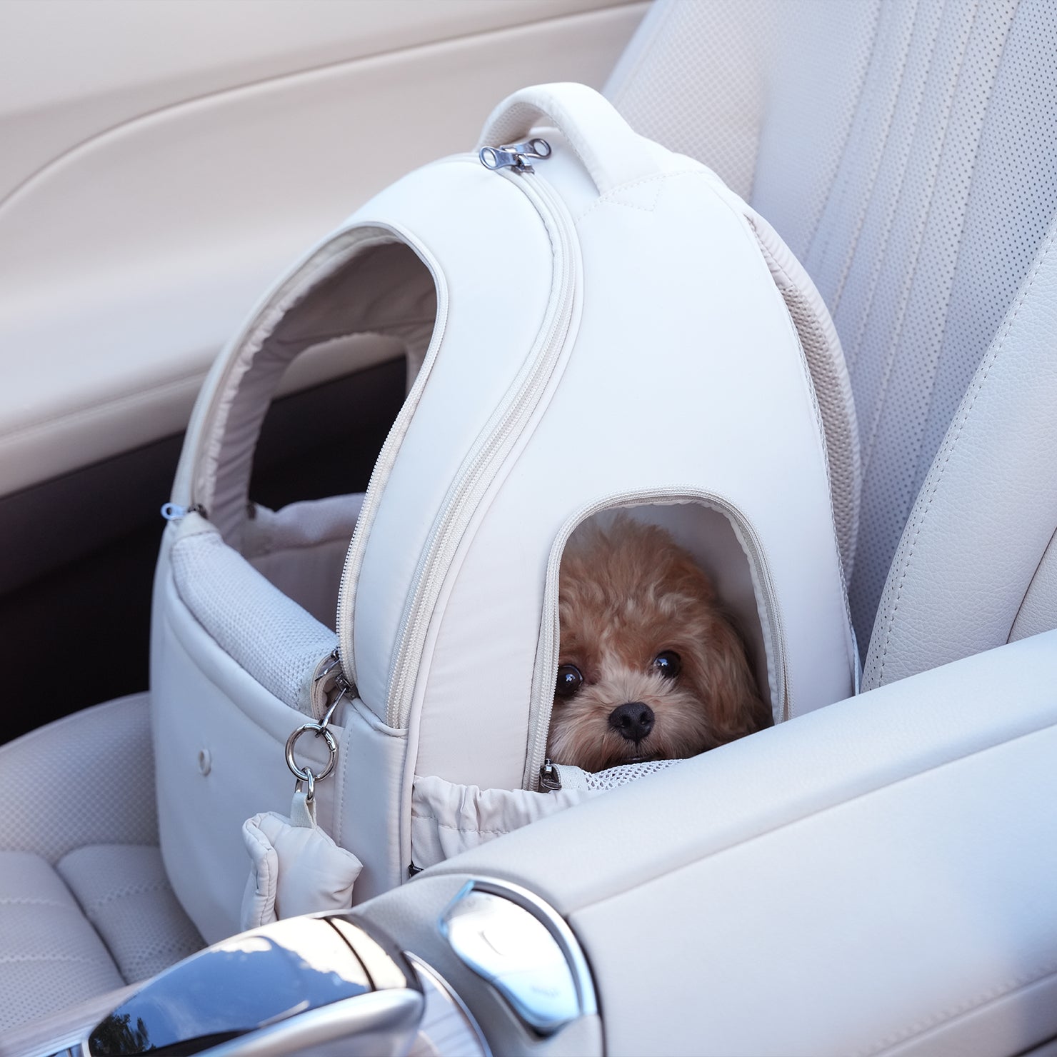 [SO-CA413] SSOOOK DOUBLE WINDOW FRONT BAG