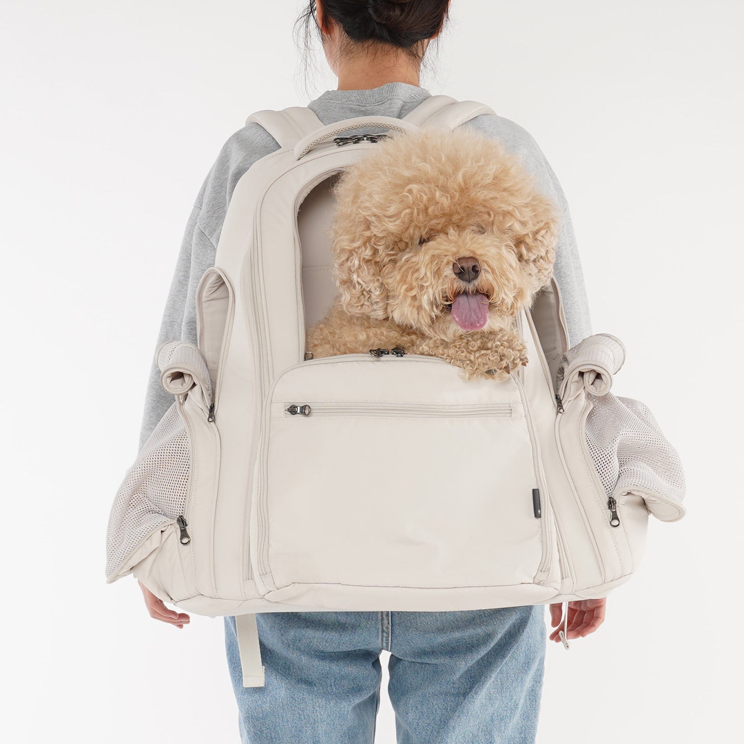 SSOOOK BACKPACK [SO-CA431]