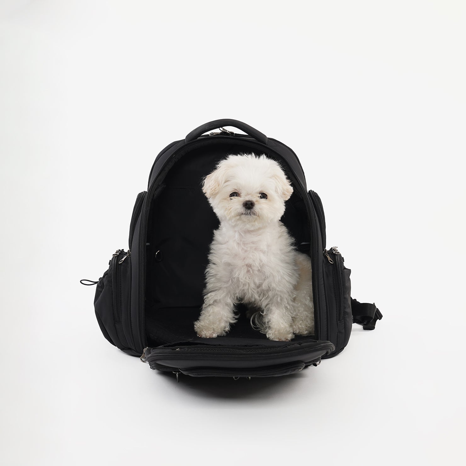 SSOOOK BACKPACK [SO-CA431]