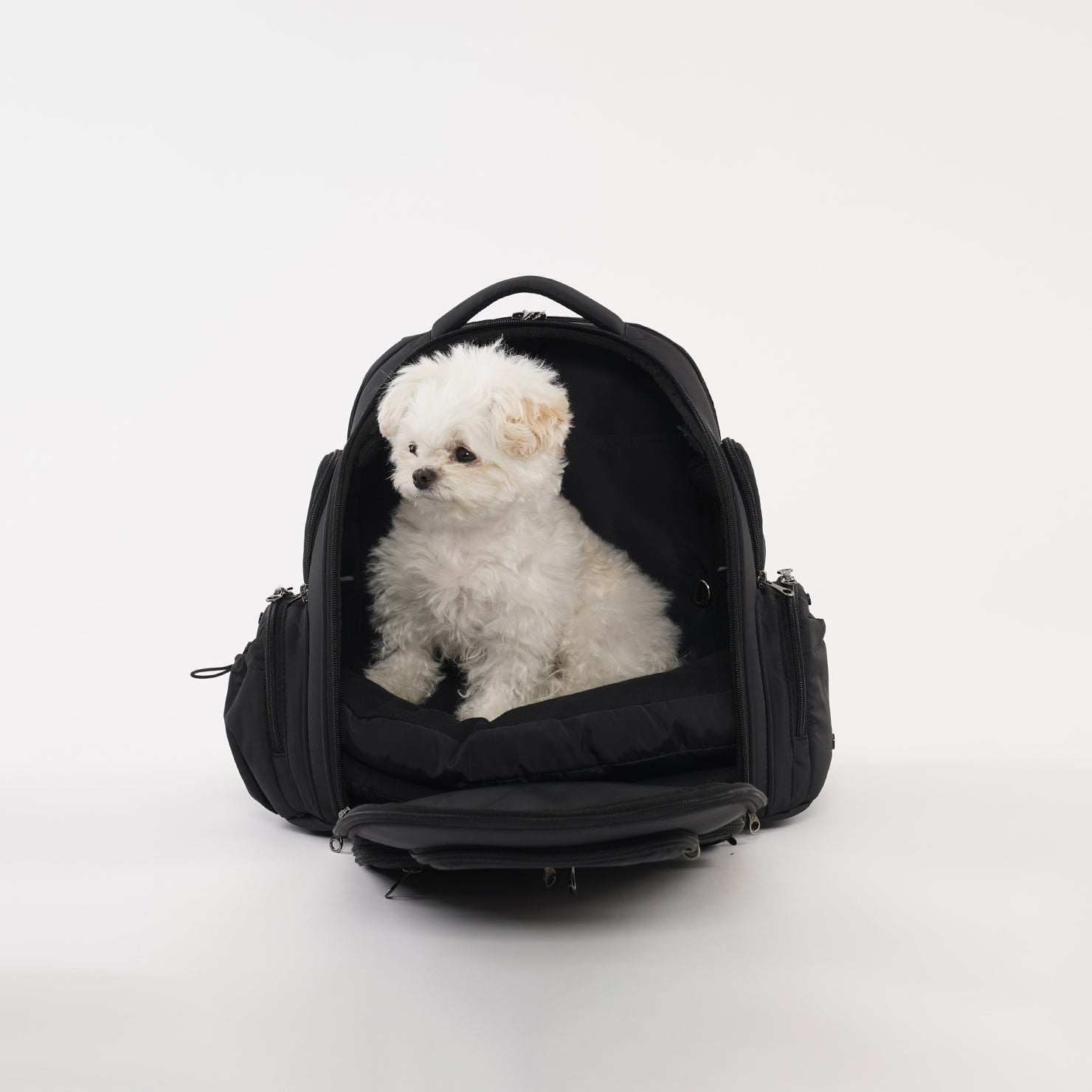 SSOOOK BACKPACK [SO-CA431]