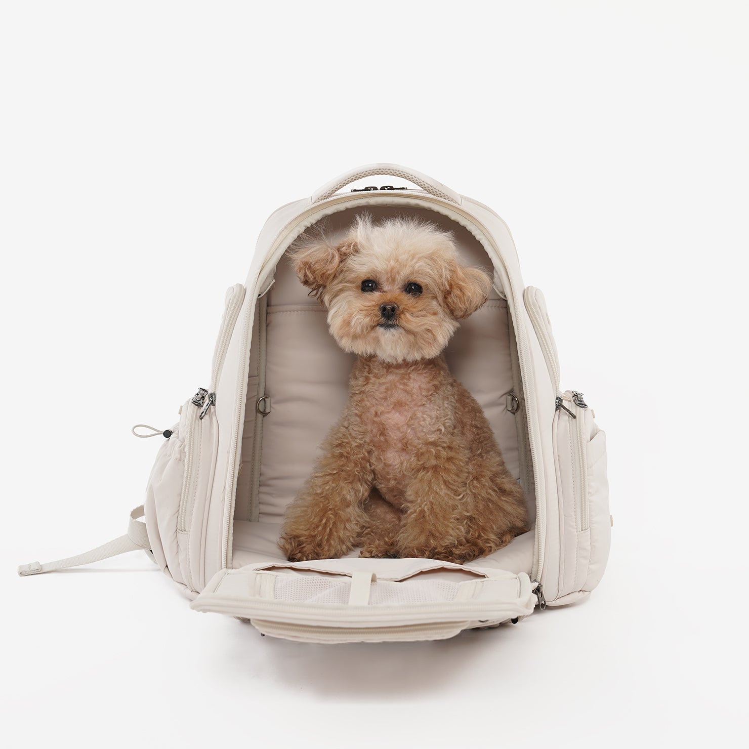 SSOOOK BACKPACK [SO-CA431]