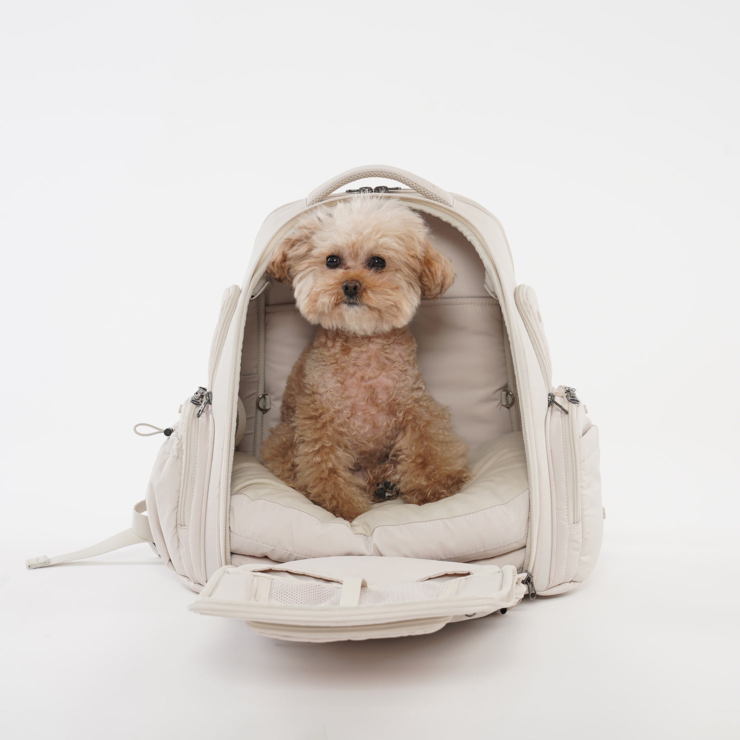 SSOOOK BACKPACK [SO-CA431]