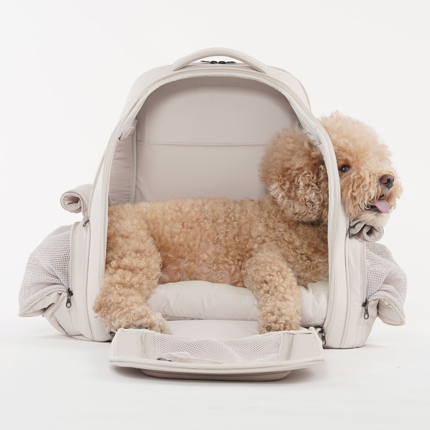 SSOOOK BACKPACK [SO-CA431]