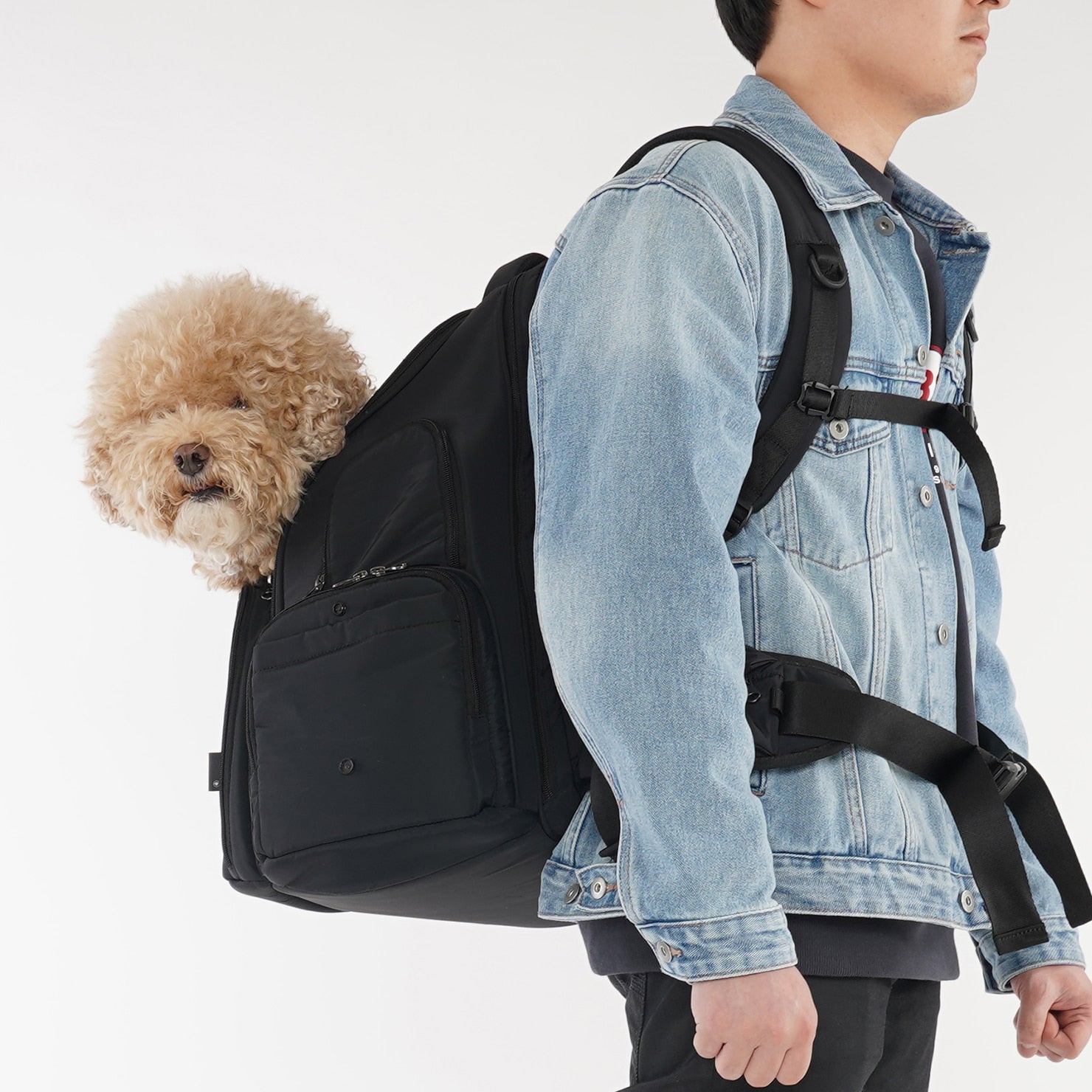 SSOOOK BACKPACK [SO-CA431]