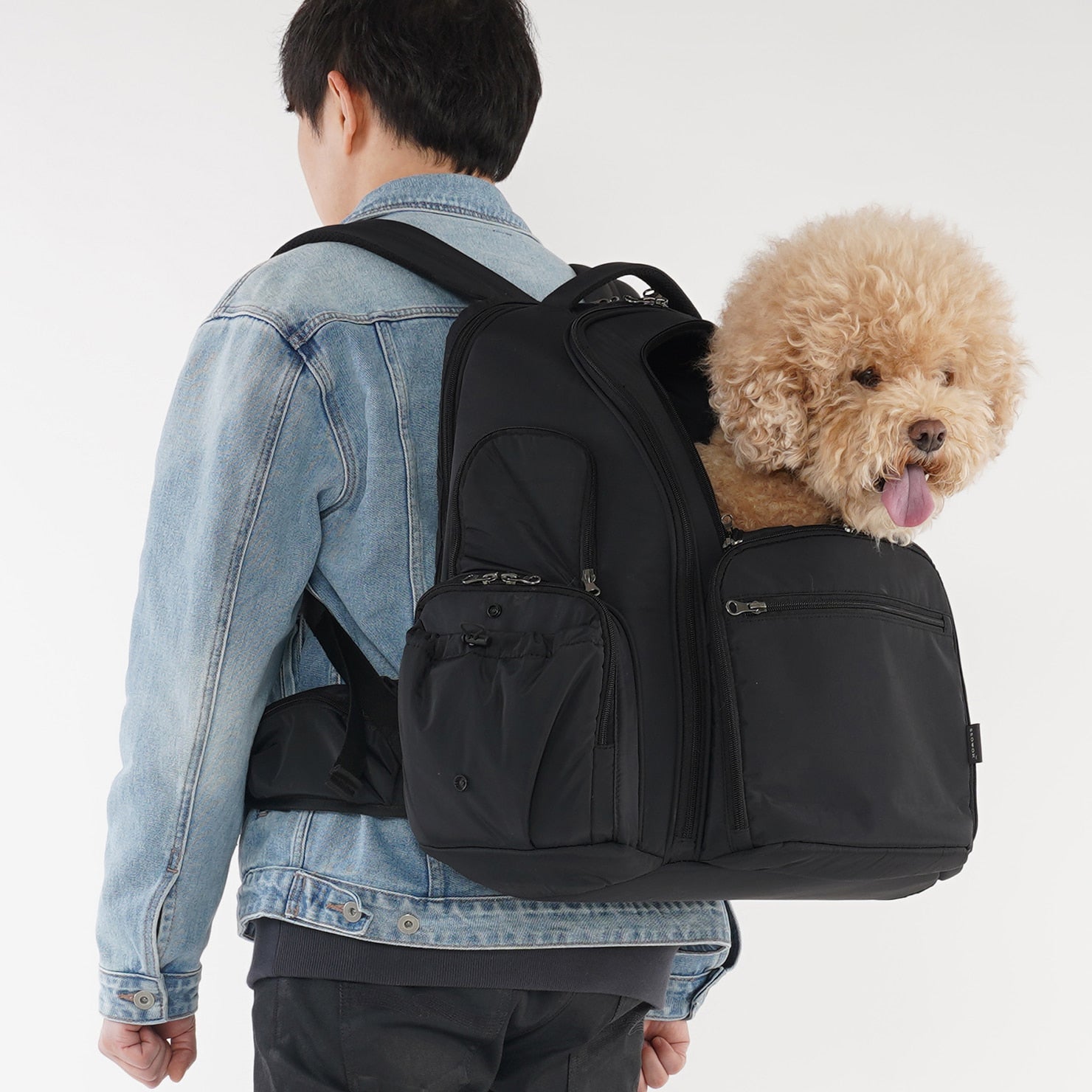 SSOOOK BACKPACK [SO-CA431]