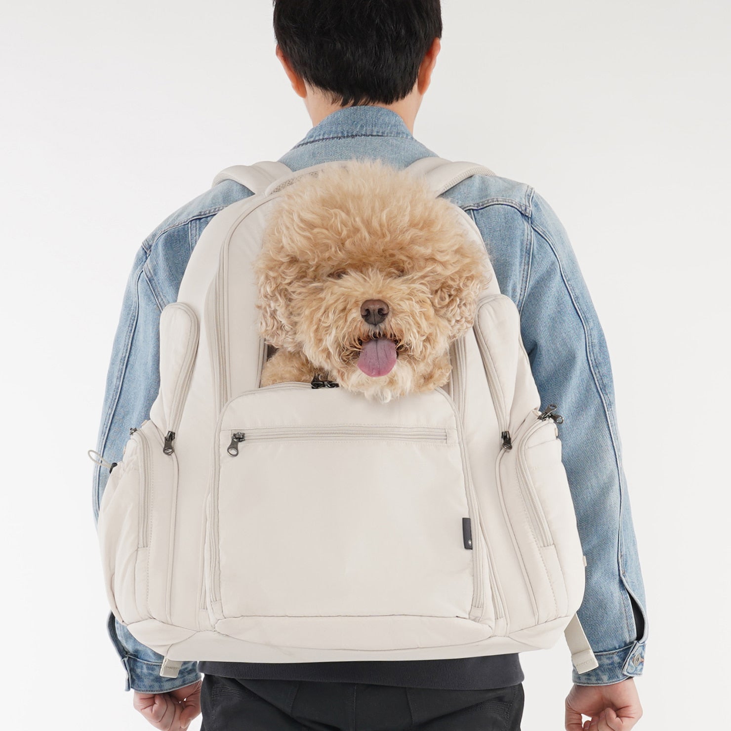 SSOOOK BACKPACK [SO-CA431]