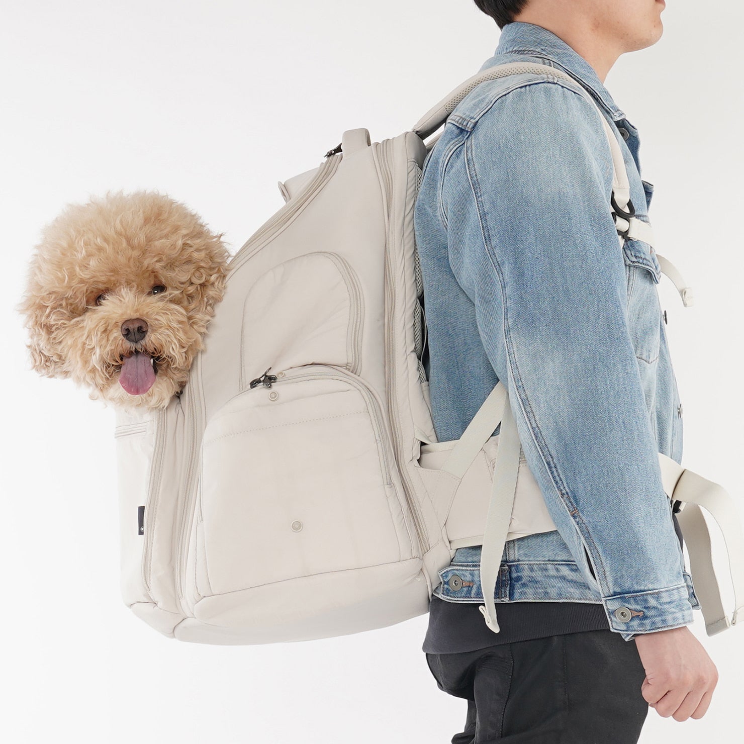 SSOOOK BACKPACK [SO-CA431]