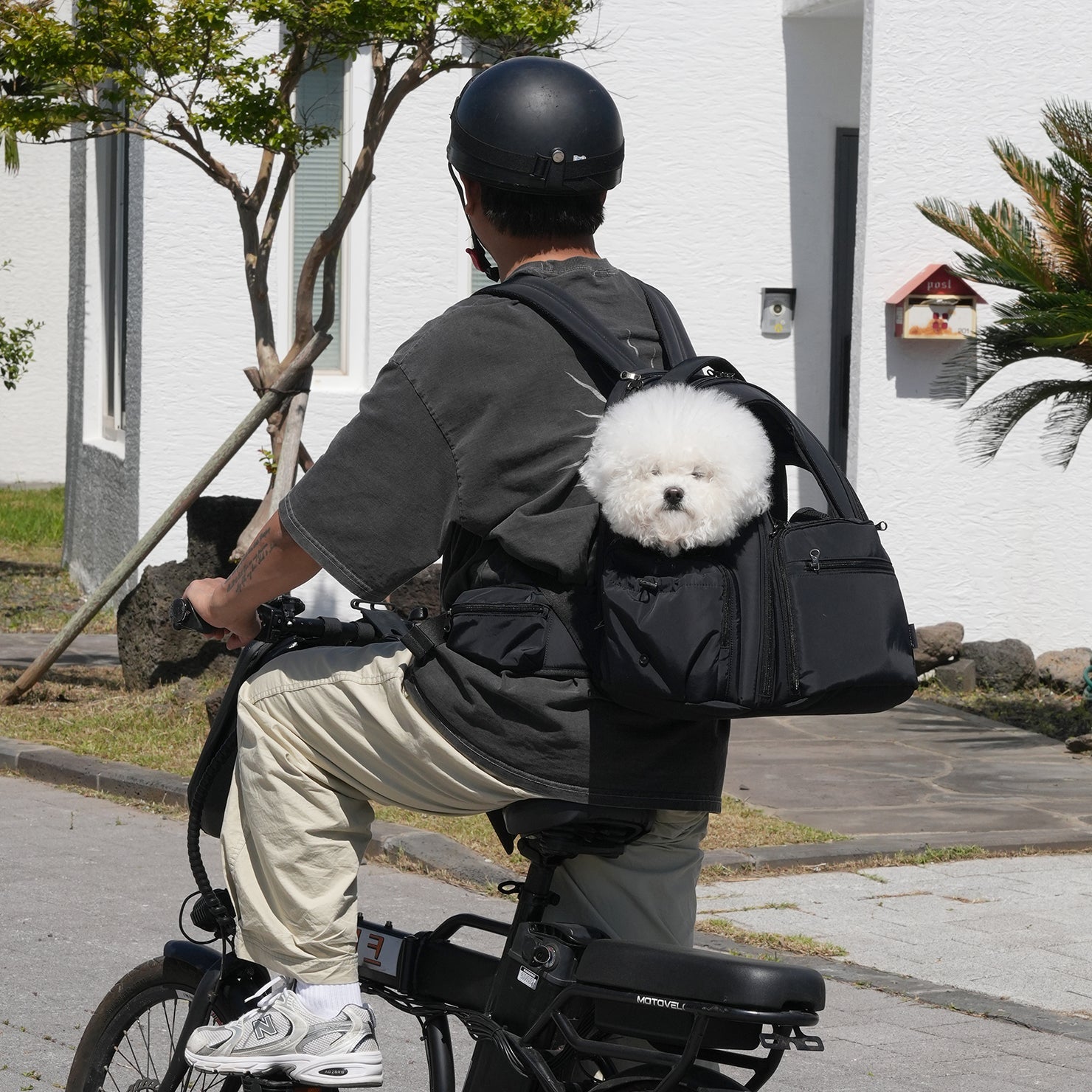 SSOOOK BACKPACK [SO-CA431]