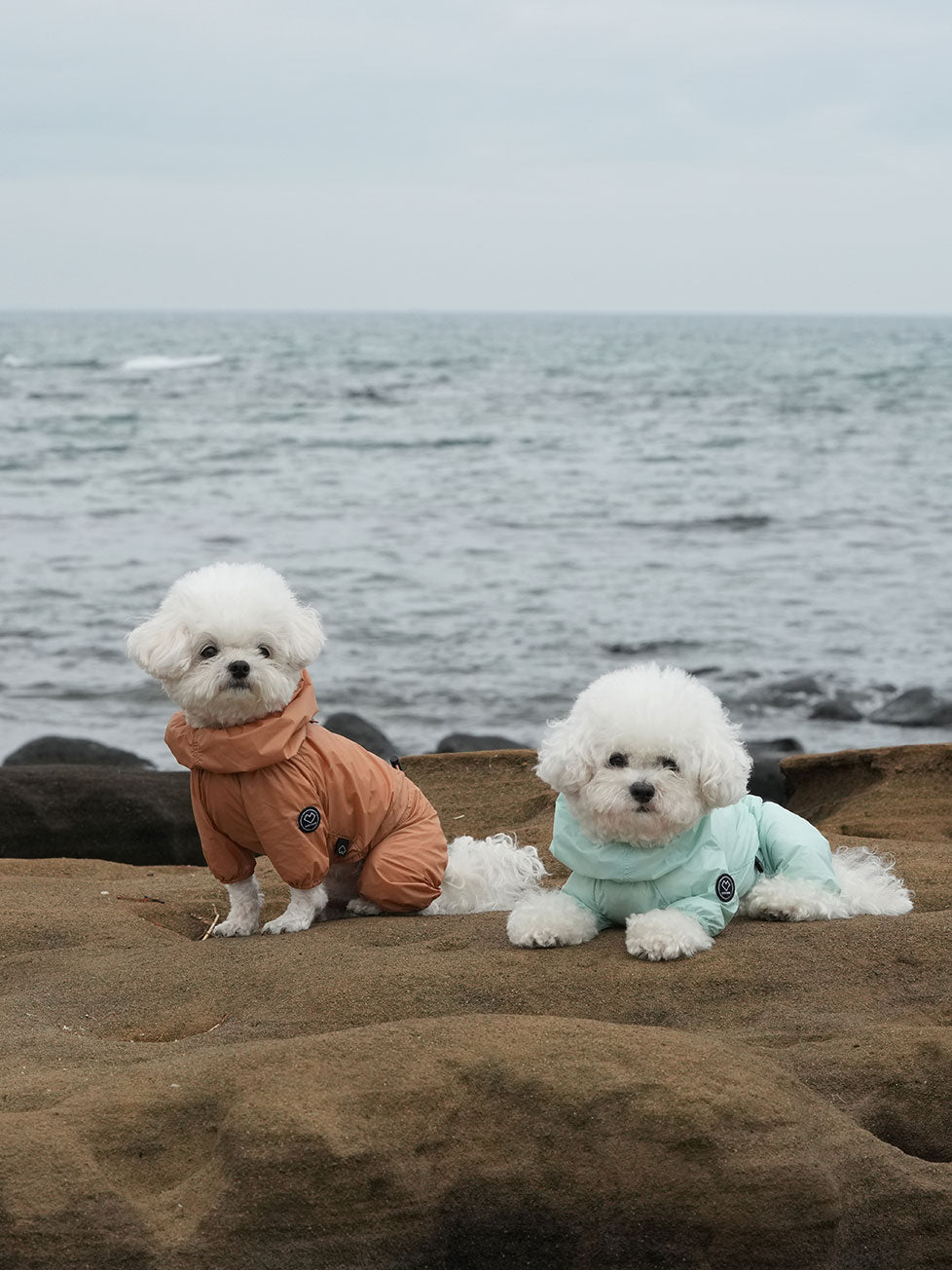 SSOOOK Wear – SSOOOK Japan