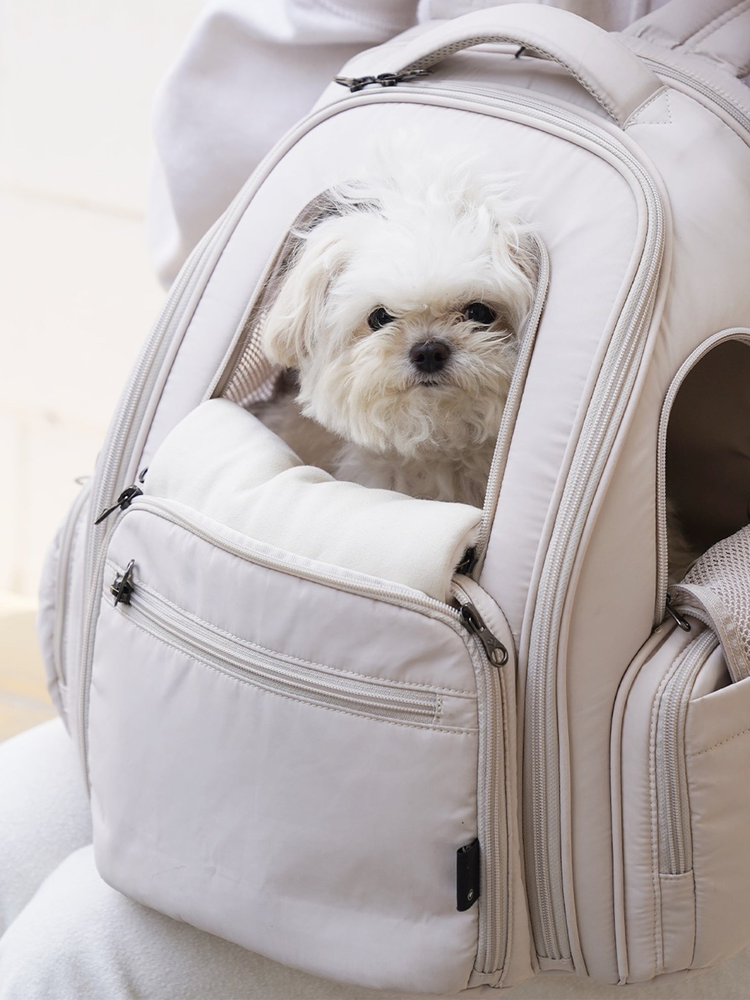 BACK PACK – SSOOOK Japan