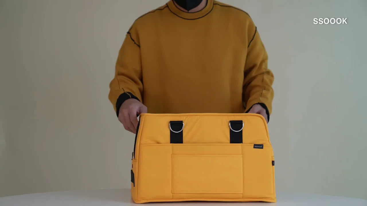 動画がロードされます。