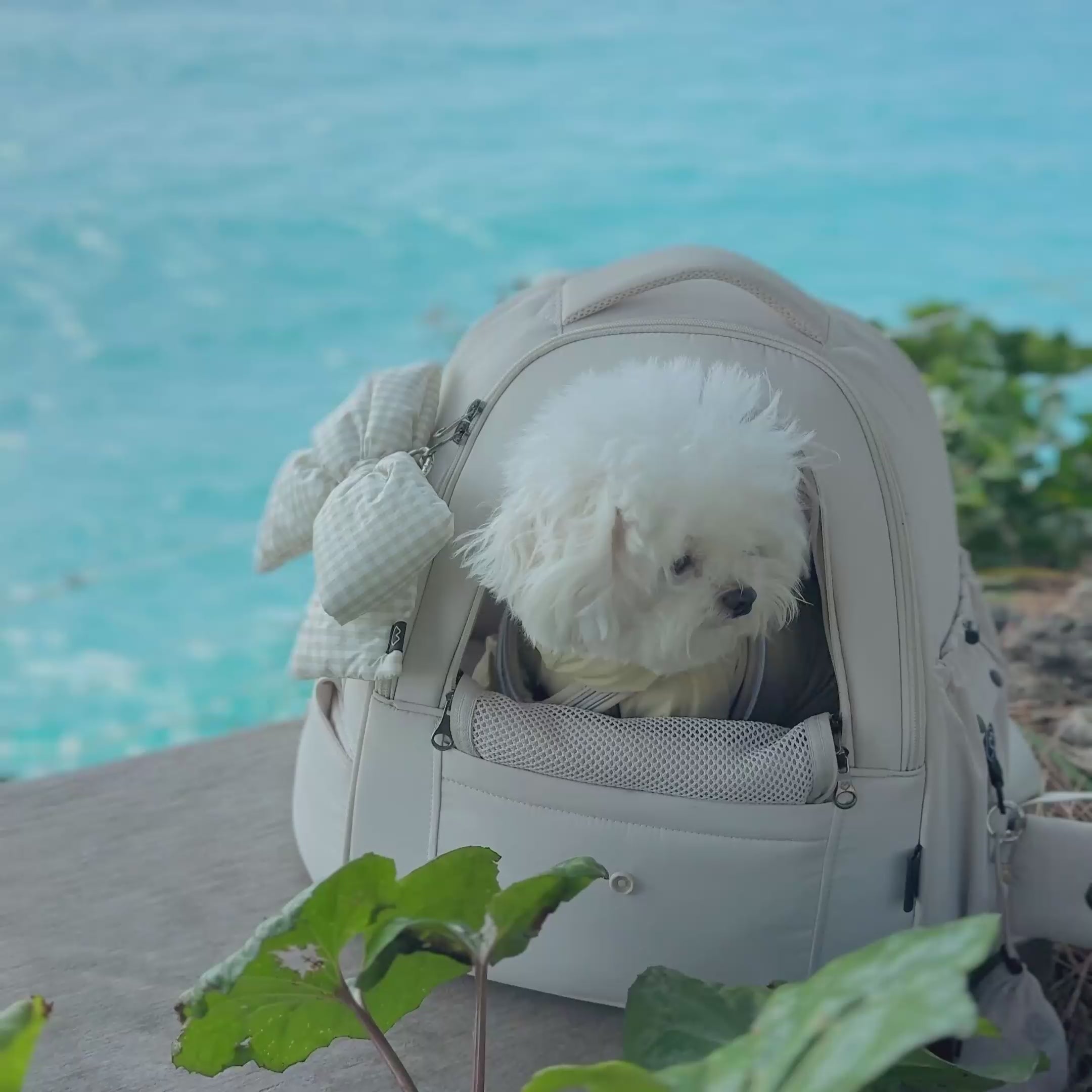 SO-CA411] SSOOOK フロントバッグ – SSOOOK Japan